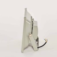 Floodlight 50W 4000K zij