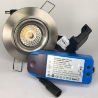 DOWNLIGHTER SPOT 13W 1800-3000K 38° IP44 DIMBAAR NIKKEL set