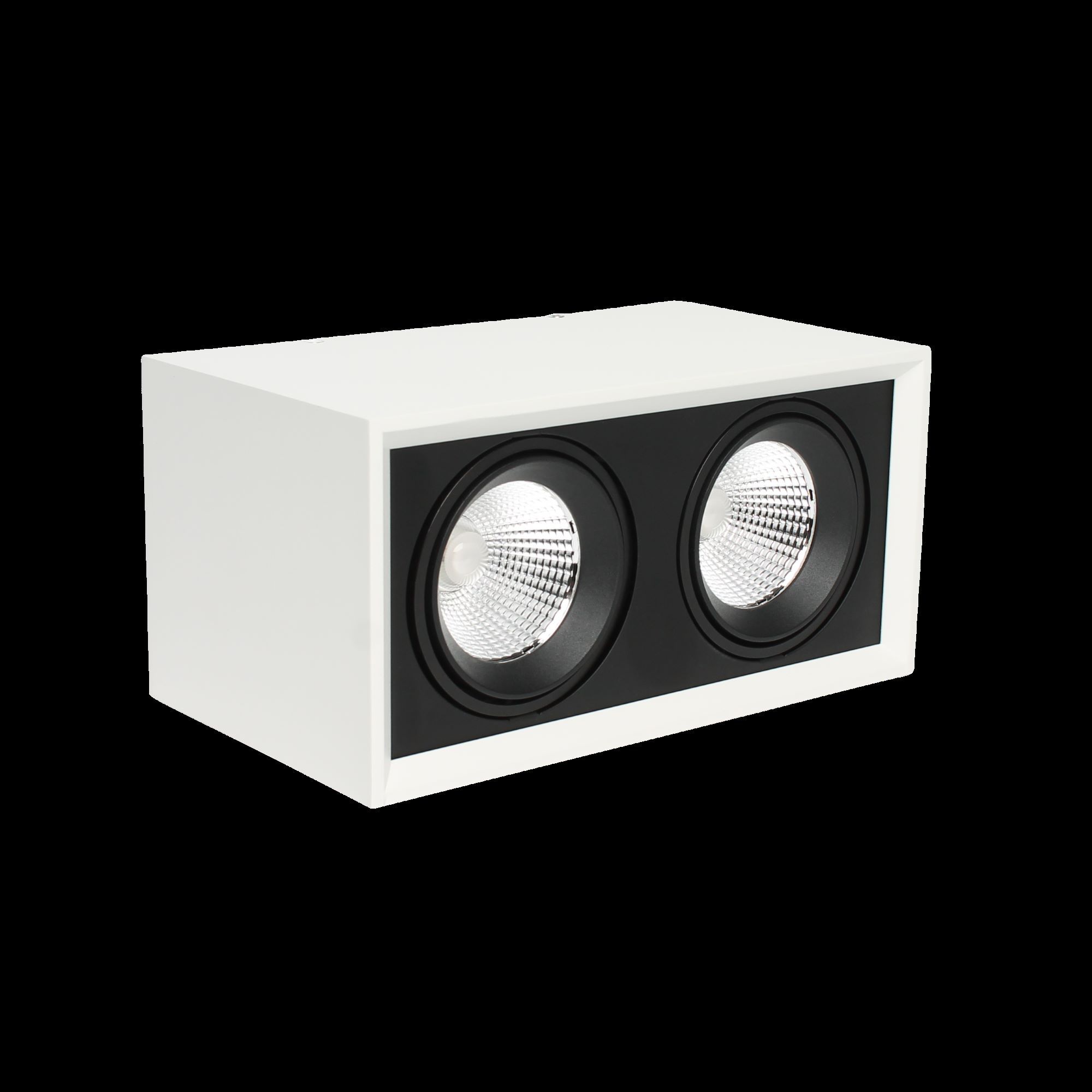 Opbouwspot 264x132x150mm 2x20W 2700K dimbaar wit