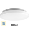 Led ceiling 14W 980LM 3000K