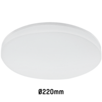 Plafonnierre 15W 4000K IK08 IP65 1