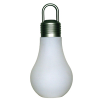 Hanglamp buiten 80 cm