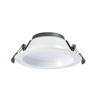Downlighter 200mm 20W Tri
