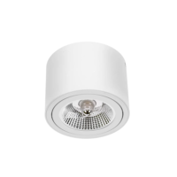 Opbouwspot AR111 GU10 Ø139 H100 kantelbaar IP20 wit